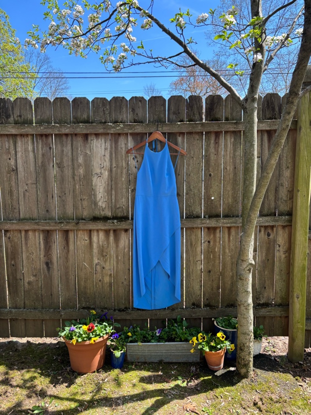 Alice + Olivia Cornflower Blue Dress